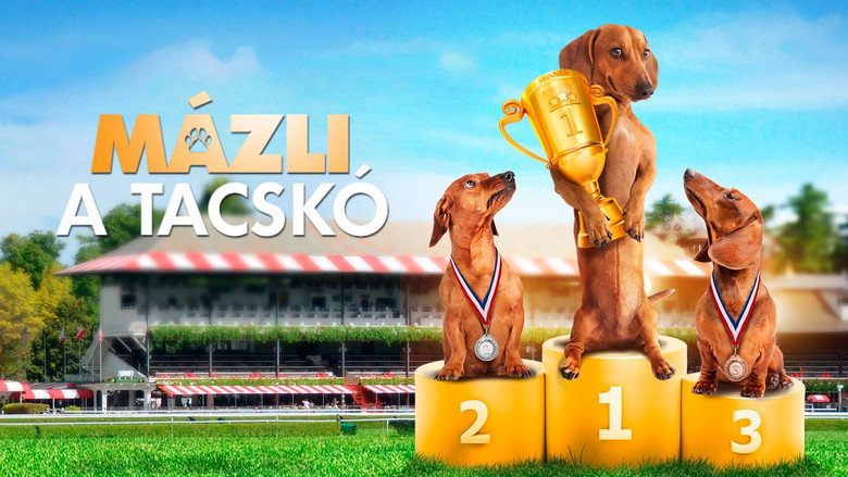 кадр из фильма Wiener Dog Nationals