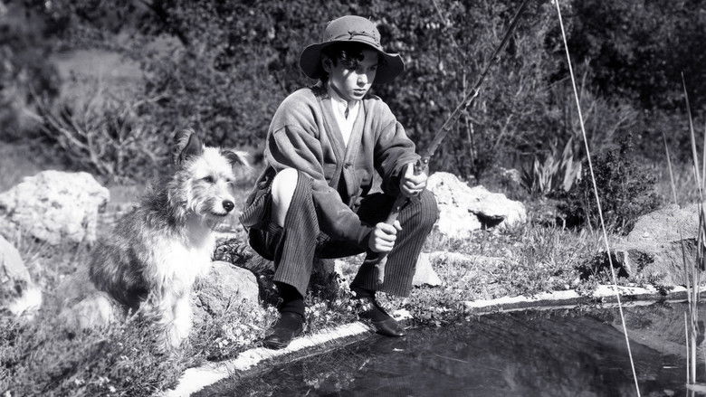 кадр из фильма Dangerous Holiday