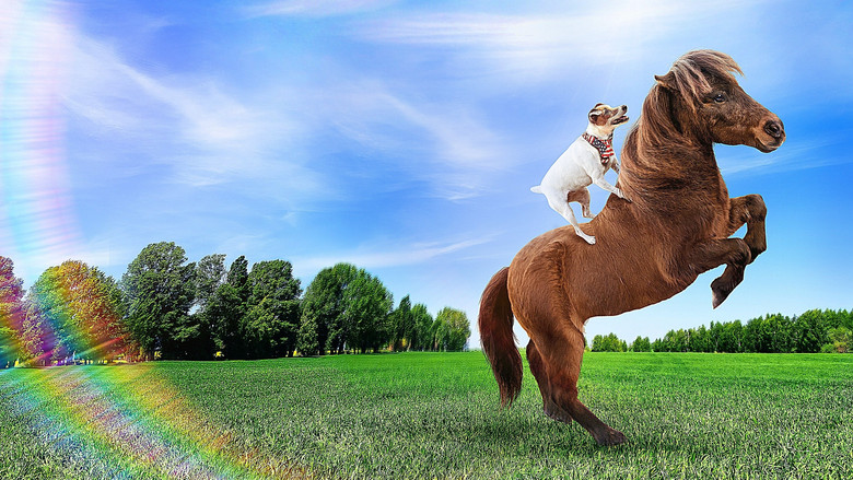 кадр из фильма Приключения Долли и Спанки