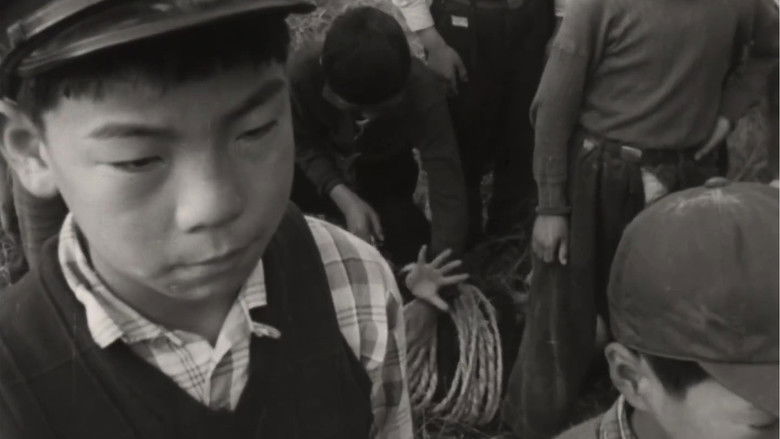 кадр из фильма 椀