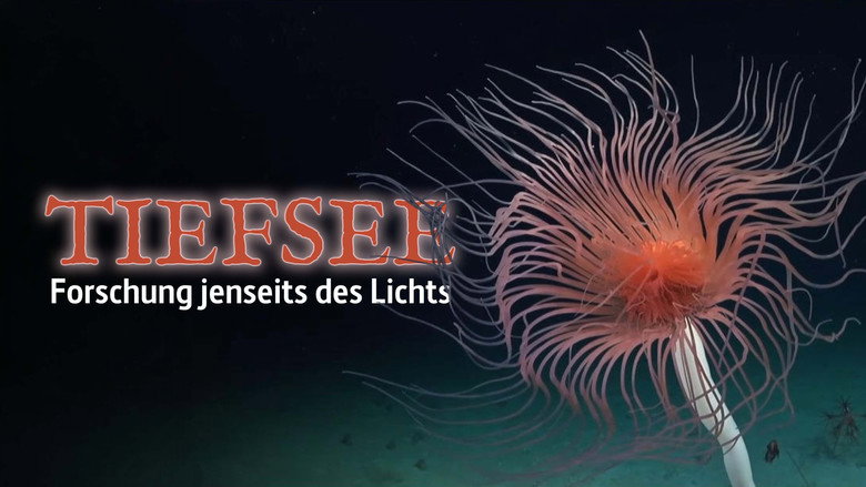 кадр из фильма Abysses, la face cachée des océans