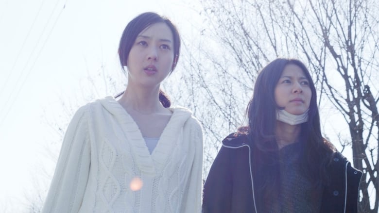 кадр из фильма おだやかな日常