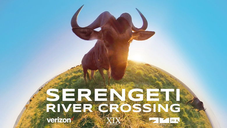 кадр из фильма Serengeti River Crossing