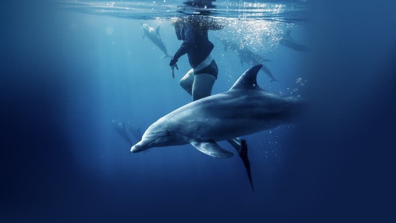 кадр из фильма Спасённые от акул