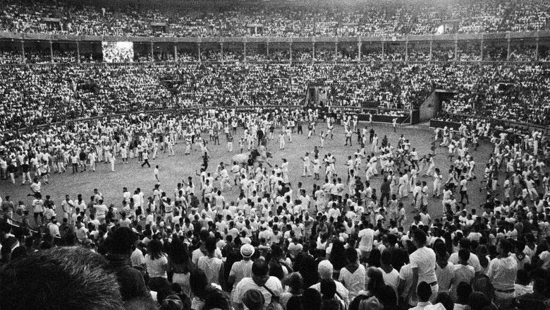 кадр из фильма Maitemina