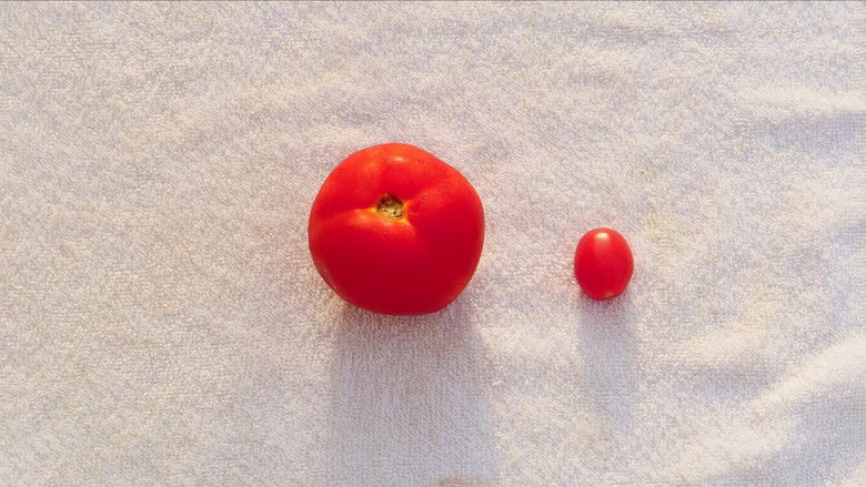 кадр из фильма A Vida Sexual do Tomateiro Aqui de Casa