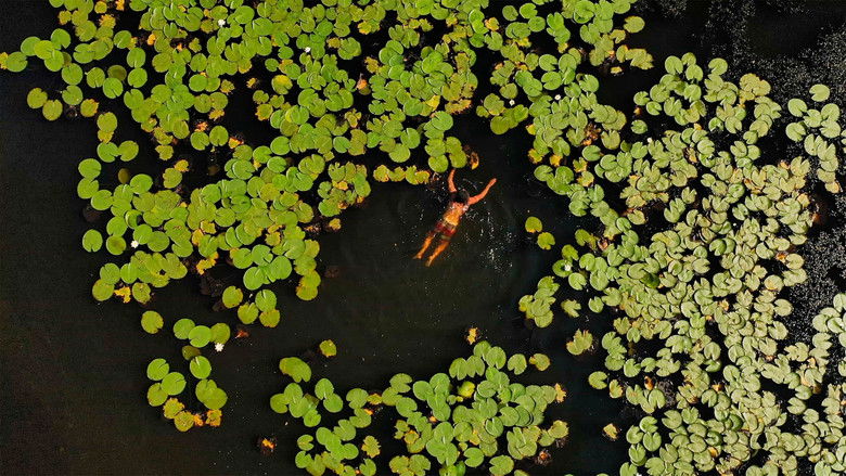 кадр из фильма Jóreménység-sziget