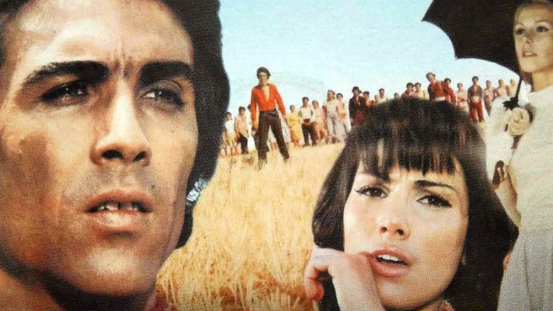 кадр из фильма Αδέρφια μου αλήτες πουλιά