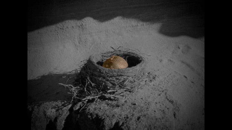 кадр из фильма Grateful Grapefruit