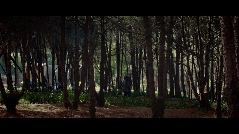 кадр из фильма Paréntesis