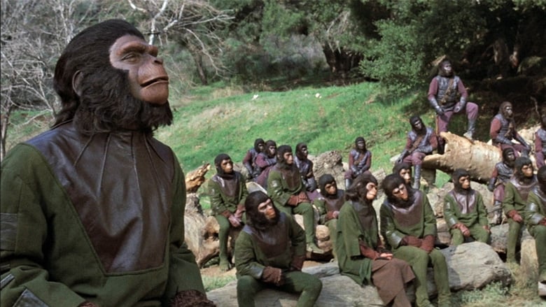 кадр из фильма Битва за планету обезьян