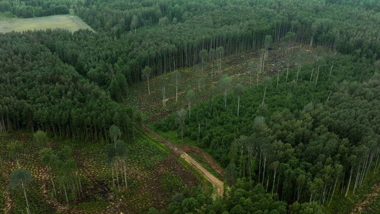 кадр из фильма Vara küps