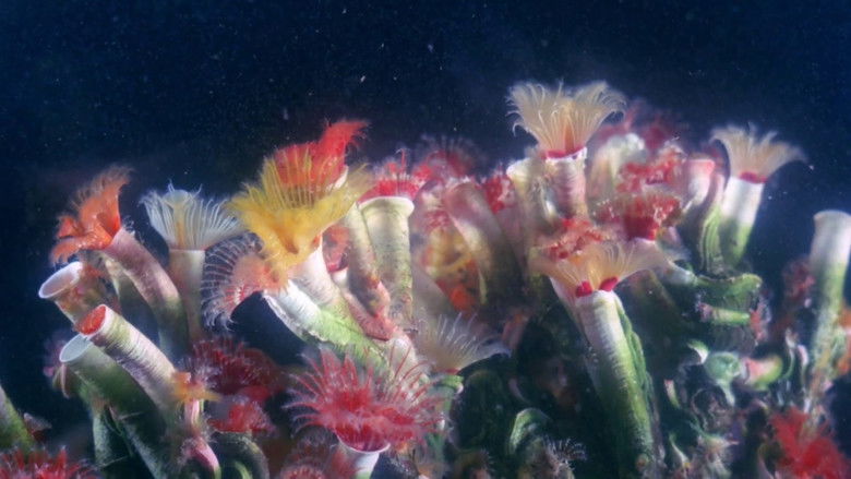 кадр из фильма Nightlife