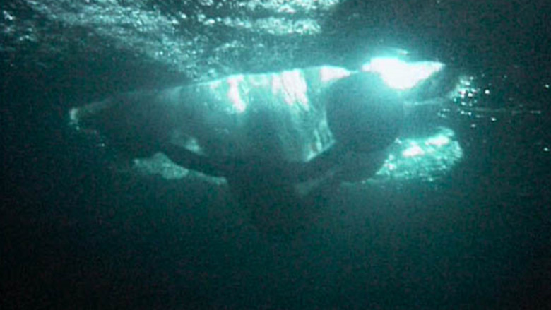 кадр из фильма Man With Balls On Hands and Feet - Man on Water