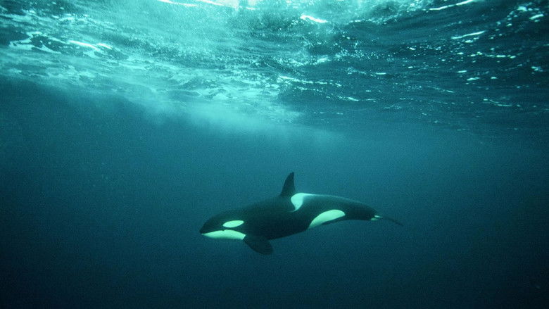 кадр из фильма De wilde Noordzee