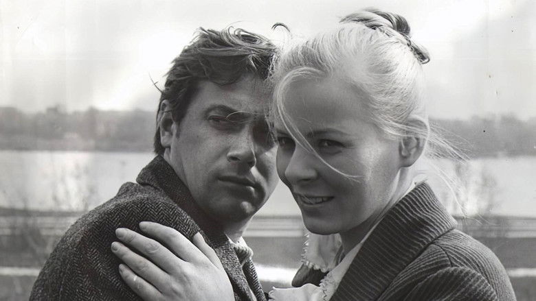 кадр из фильма Mały