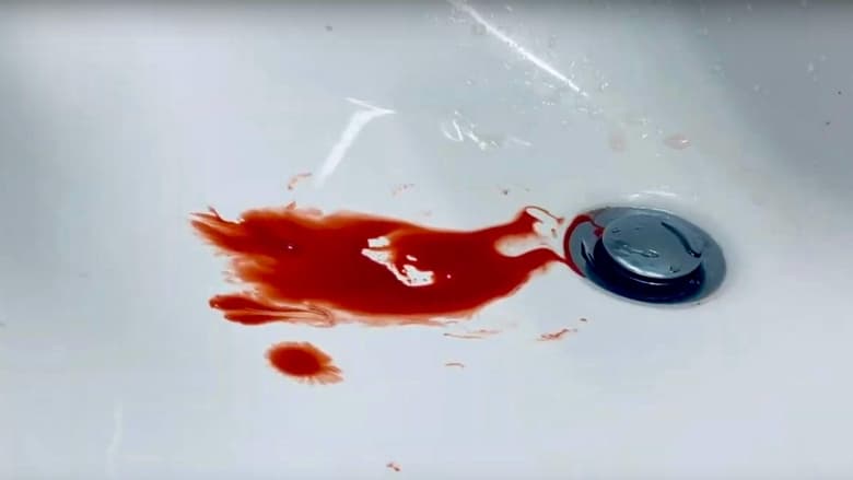 кадр из фильма The Revenger