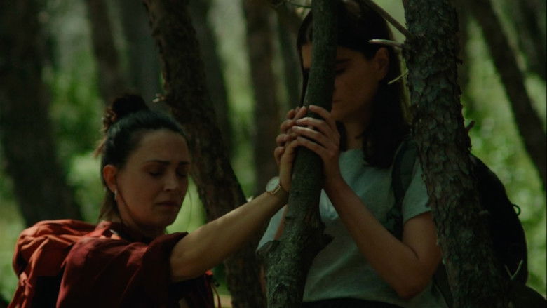 кадр из фильма Don’t Try This in the Woods