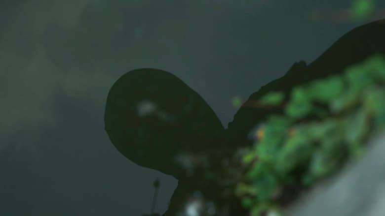 кадр из фильма Reflector