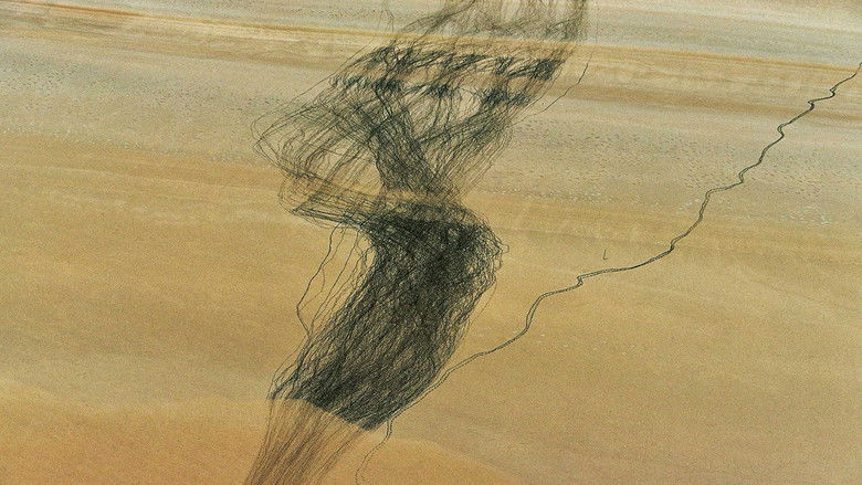 кадр из фильма L'Algérie Vue Du Ciel