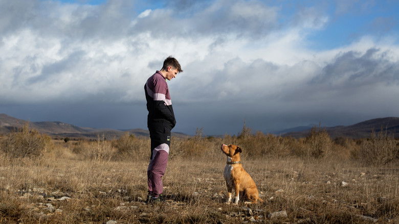 кадр из фильма Chien de la casse