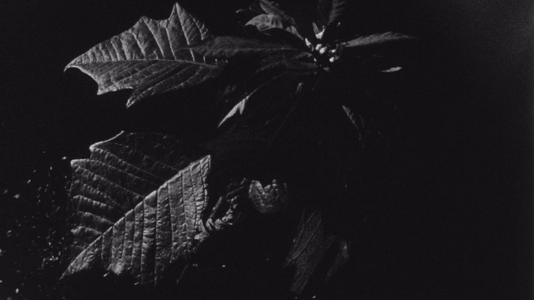 кадр из фильма Street Film Part XI