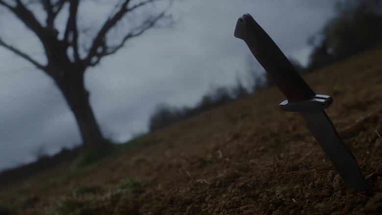 кадр из фильма Besnilo