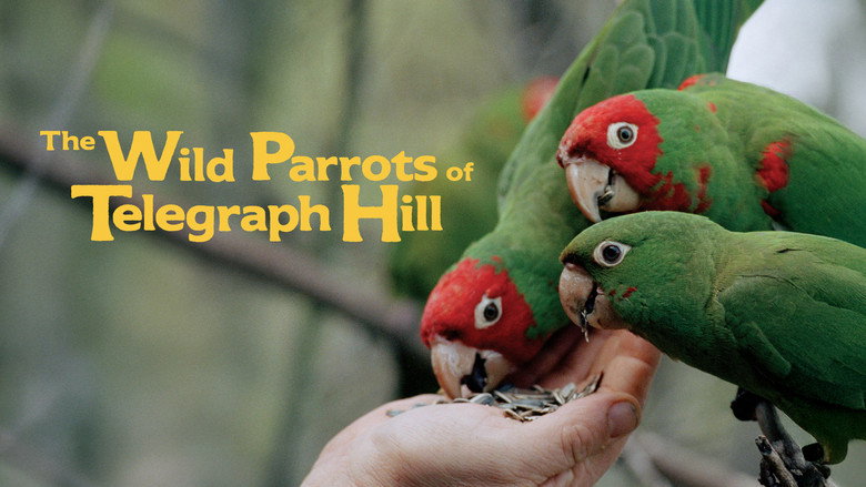 кадр из фильма The Wild Parrots of Telegraph Hill