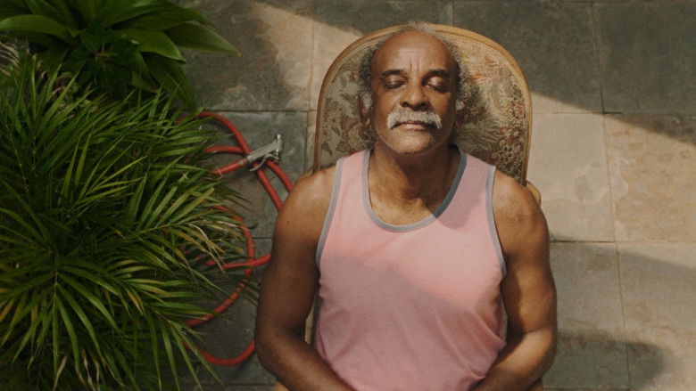 кадр из фильма Girassóis