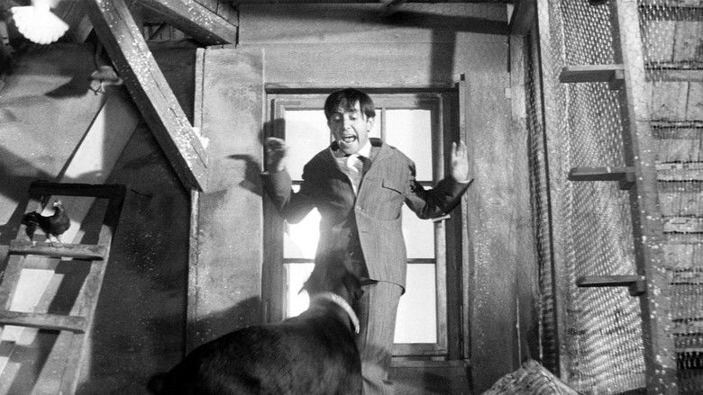 кадр из фильма Индийский шарф