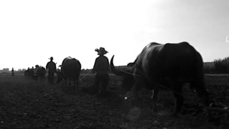 кадр из фильма Эволюция филиппинской семьи