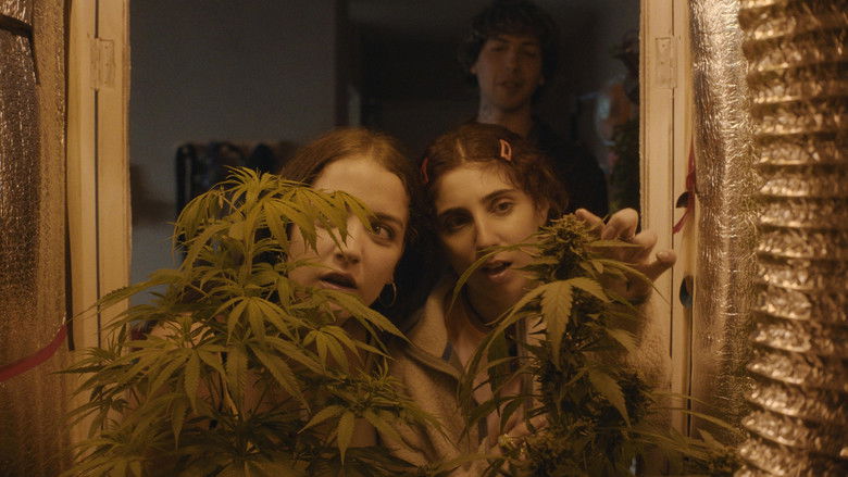 кадр из фильма Verano Trippin