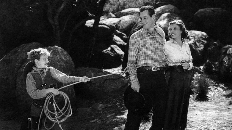 кадр из фильма The Cowboy Star