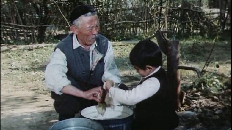 кадр из фильма Вместе