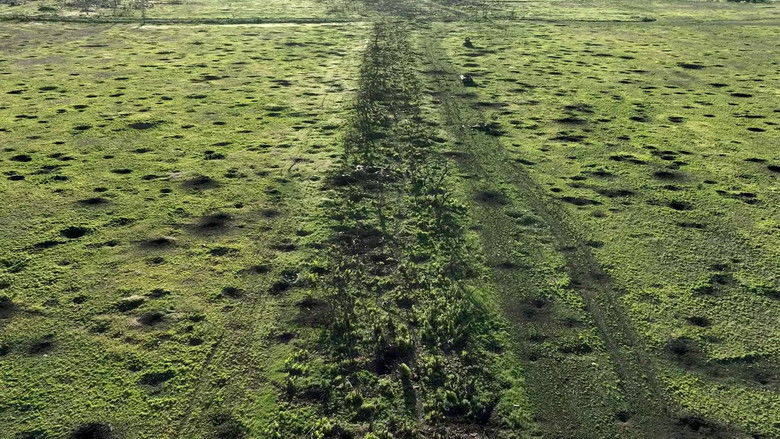 кадр из фильма 2000 Meters to Andriivka