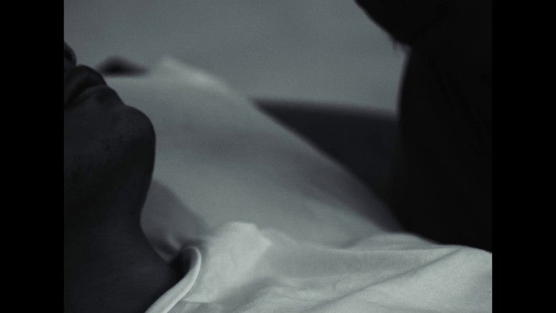 кадр из фильма Y