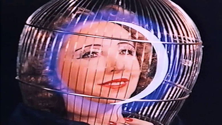 кадр из фильма The Inauguration of the Pleasure Dome