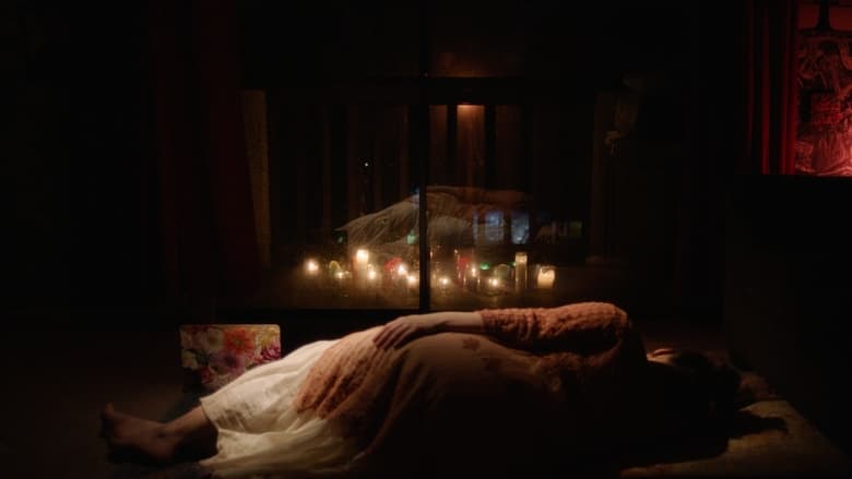 кадр из фильма Borrelia Borealis