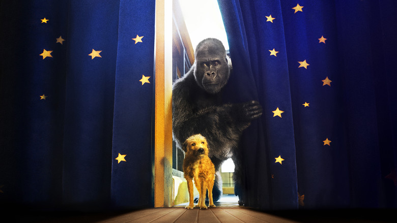 кадр из фильма Айван, единственный и неповторимый