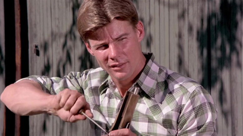 кадр из фильма Vigilante Force