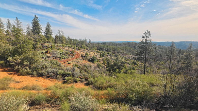 кадр из фильма Kiwi Food