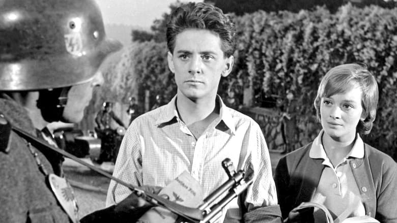 Высший принцип