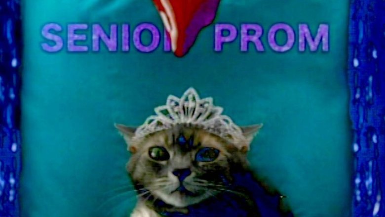 кадр из фильма She's Allergic to Cats