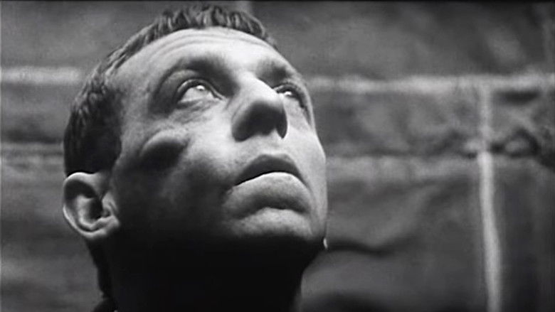 кадр из фильма Everynight... Everynight