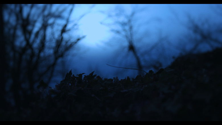 кадр из фильма Blood Is Thicker Than Water