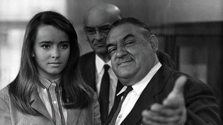 кадр из фильма Последний свидетель