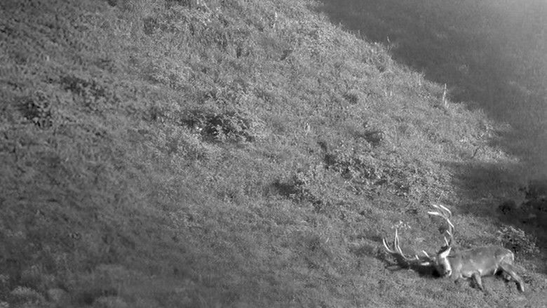 кадр из фильма Intruders