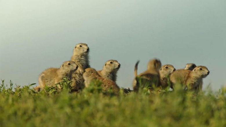 кадр из фильма Любители орехов. Беличьи истории