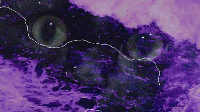 кадр из фильма A Nau dos Loucos: Mergulho e Decolagem de Pazucus