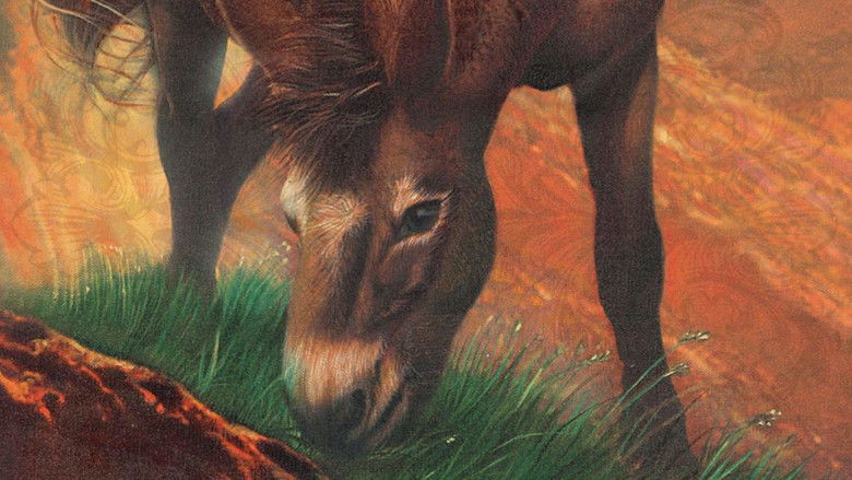 кадр из фильма Brighty of the Grand Canyon